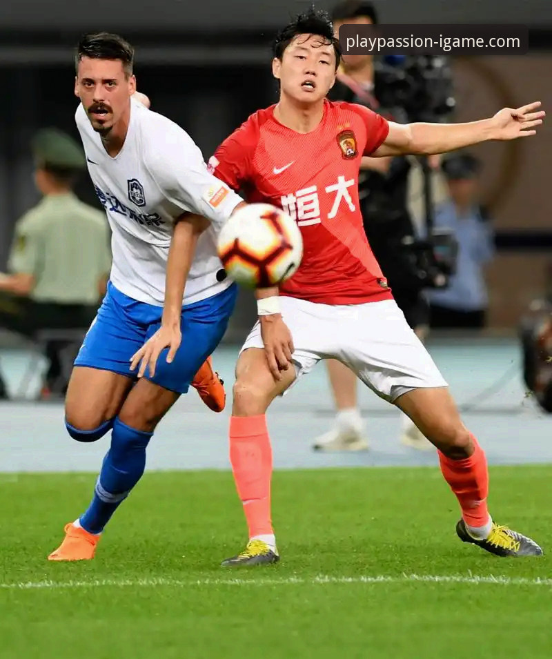 辉煌与陨落：从恒大王朝到法庭审判，一场商业与足球的深刻反思